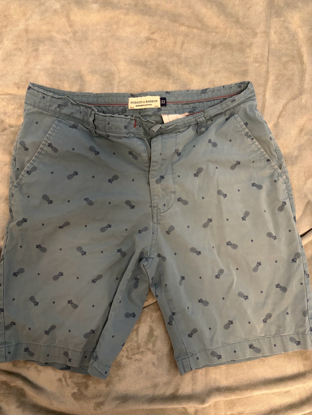Hudson & Baird Light Blue Pineapple Print Flat Front Men's Shorts